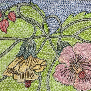 Hibiscus